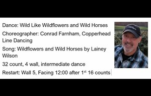 Wild Like Wildflowers and Wild Horses du 30/03/2025